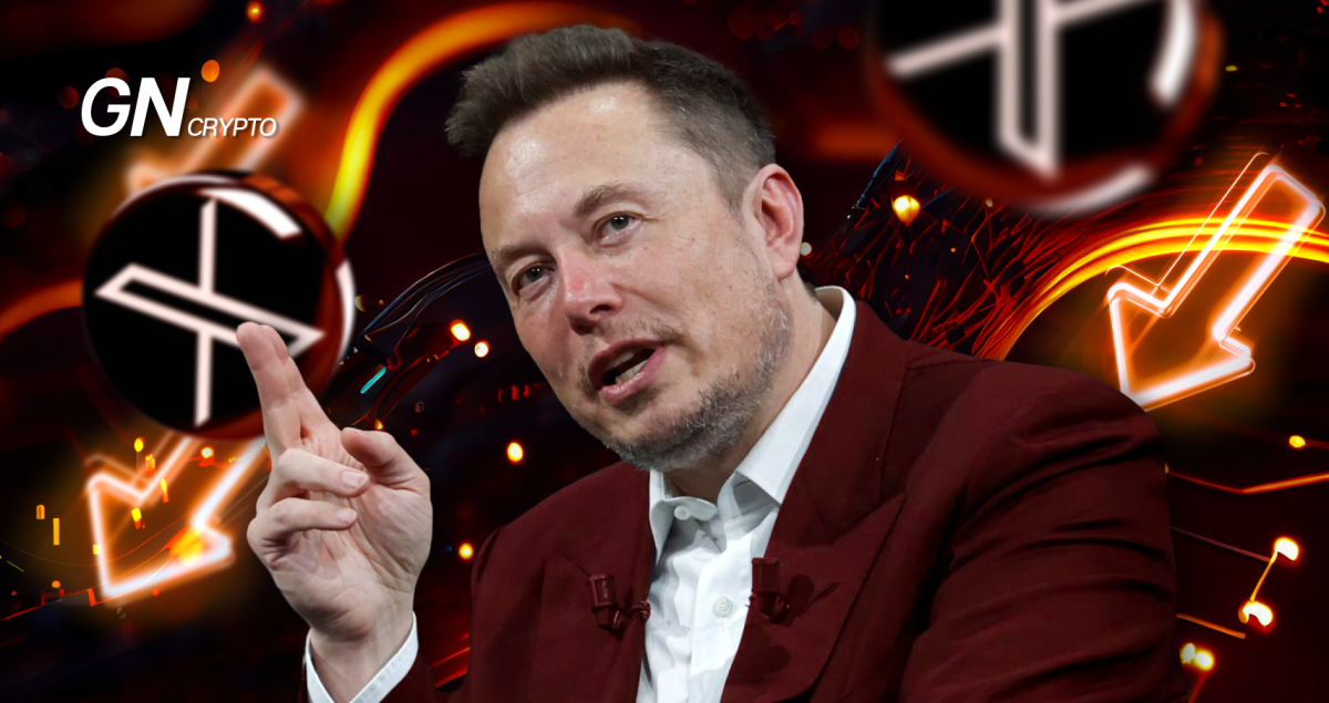 The Value of X Has Halved After It Was Bought by Elon Musk