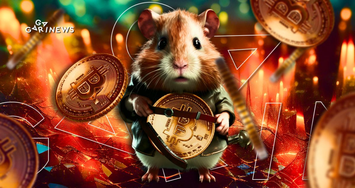 Sparky or Teddy? Meet Hamsters who Compete for Crypto Bets