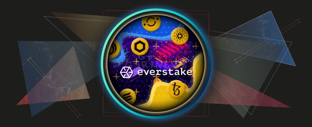 Overview of staking provider Everstake