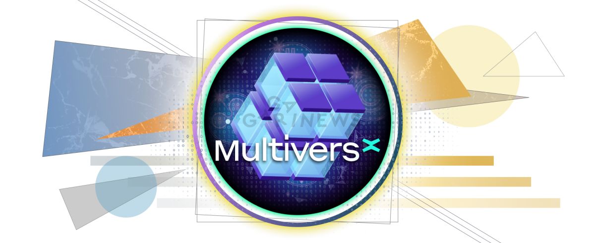 MultiversX: development of dApps and a portal to the Metaverse