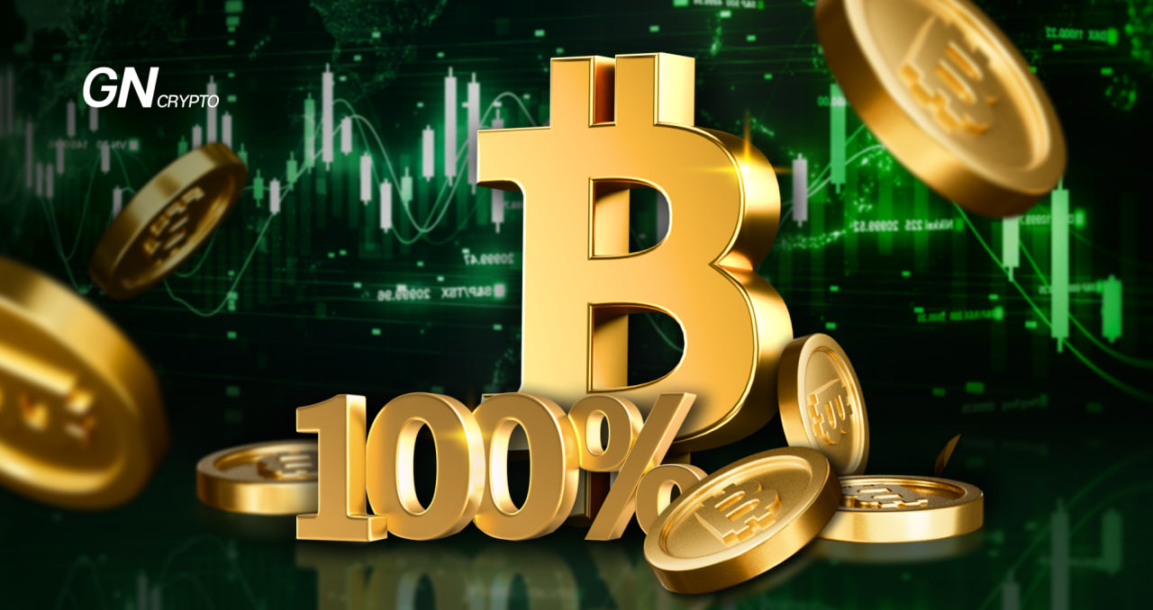 Bitcoin Surges 100%, But Altcoins Lag Behind. Why Is That?