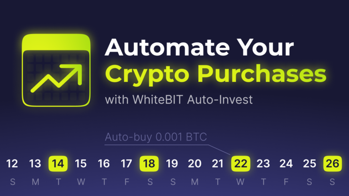 WhiteBIT Auto-Invest: Crypto Investing Made Easy